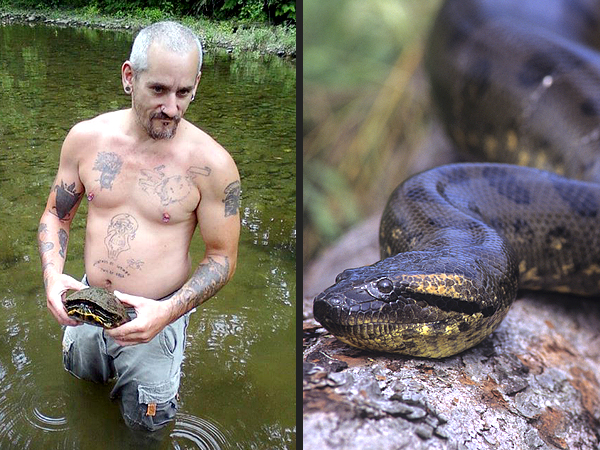 Lake Hopatcong Snake Is Anaconda Not Boa Constrictor Says Expert