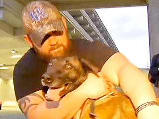 Marine and Dog Who Saved His Life Joyfully Reunite After 3 Years Apart