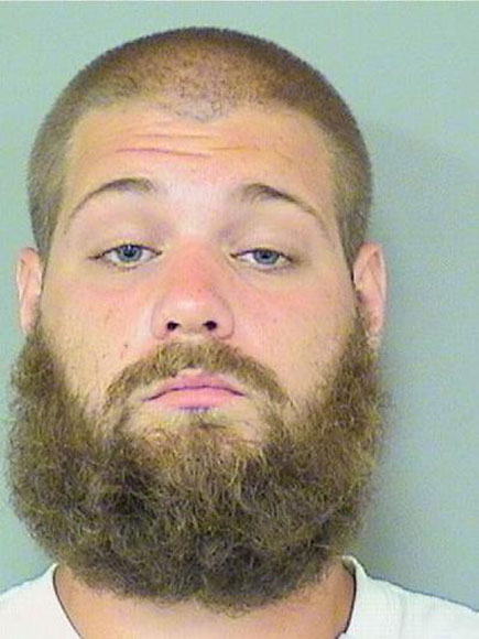 Man Runs over Ducklings with Lawn Mower, Sentenced to Year in Jail