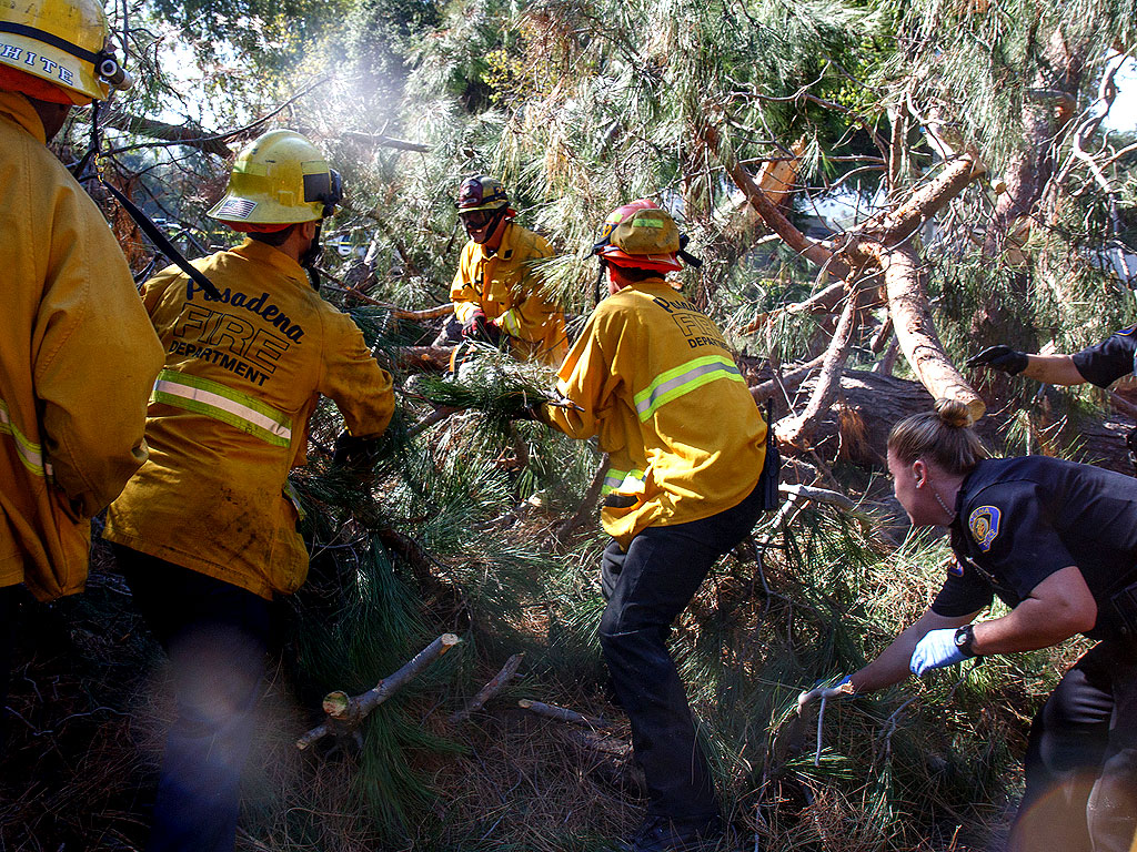 8 Children Hurt by Falling Tree in California: 'I Tried to Save as Many as I Could,' Says Witness