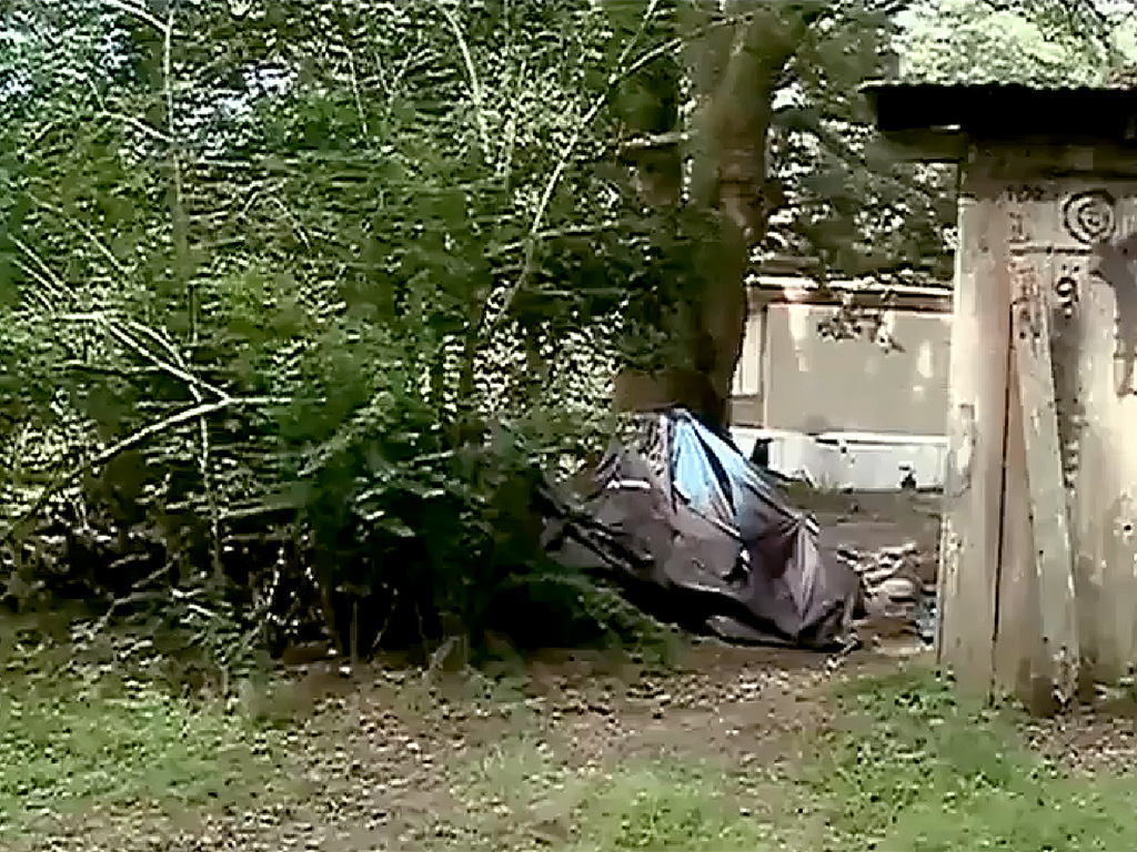 This 9-Year-Old Girl Found a Newborn Abandoned in Her Backyard photo picture This 9-Year-Old Girl Found a Newborn Abandoned in Her Backyard