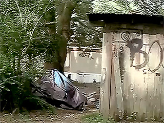 5 Arrested for Allegedly Keeping Autistic Woman in Cage and Planning on Forcing Her into Prostitution: Reports