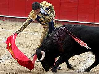 Bullfighter Fatally Gored by Bull in Spain During Live TV Broadcast