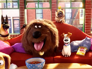 The Secret Life of Pets PEOPLE Review: Jenny Slate Wins Best in Show in Adorable Animated Comedy
