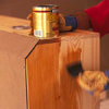 Curing unfinished wood with polyshine