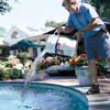 Cleaning the pool