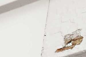 white clapboard siding with a gouge