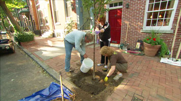 ask this old house episode one-thousand-and-thirteen of season ten