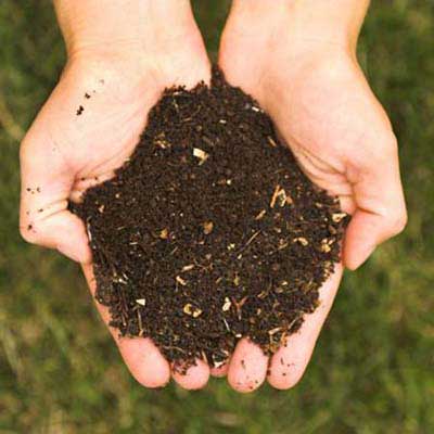 compost