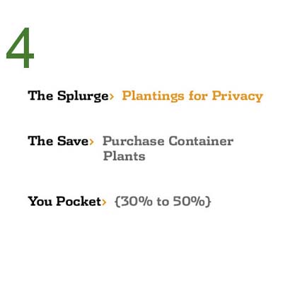 Save While You Splurge: Plantings for Privacy