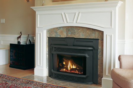 Cost Of Gas Fireplace Insert