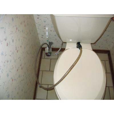 sprayer attached to toilet