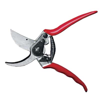 Swiss bypass pruner used for cutting living branches