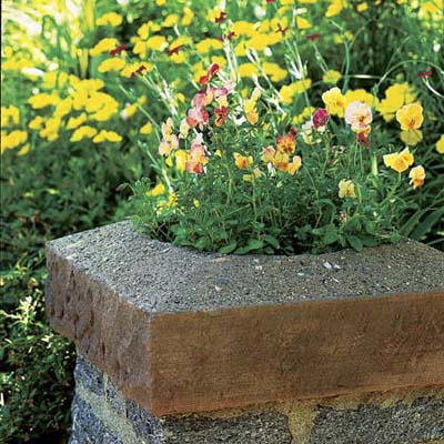 Stone planter has yellow and pink flowering plants
