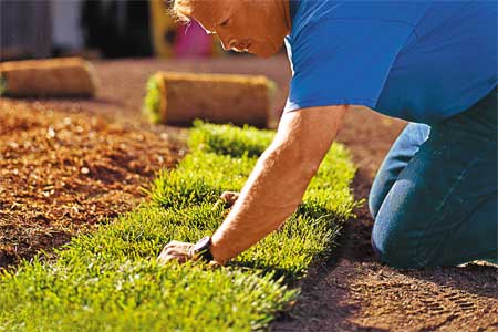 laying sod on a new lawn