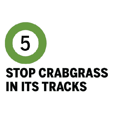 Stop Crabgrass in its tracks