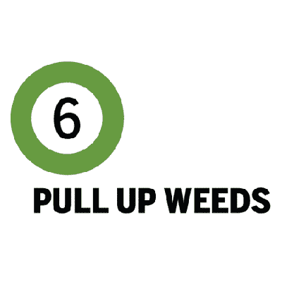 pull up weeds