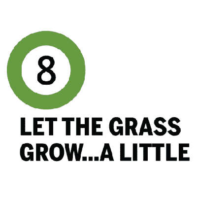 let the grass grow a little
