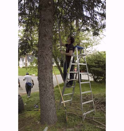 Michael Stopler trims tree