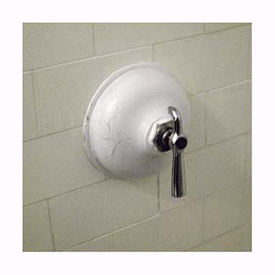 a toilet plunger used as a tub diverter body