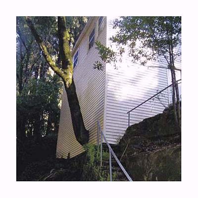 building a house around a tree can add stress to the steep slope
