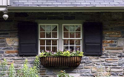 windowbox of coconut fiber