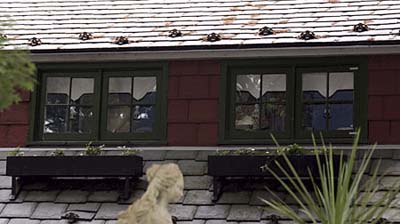 start small with plants for the window box