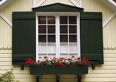 plants for the window box
