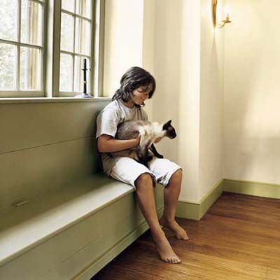 Boy sitting with a cat on dining room window seat at Ravenroyd