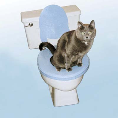 CatSeat by Feline Evolution