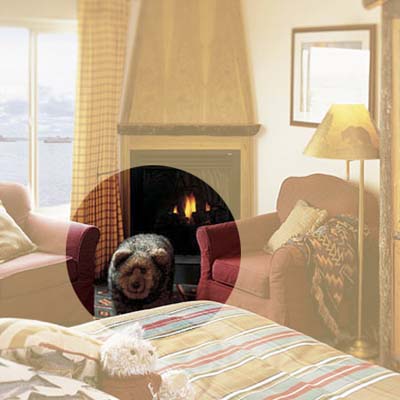 stay at home home bear shaped stool