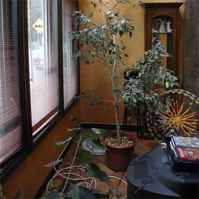 Cluttered Corner Entry before staging