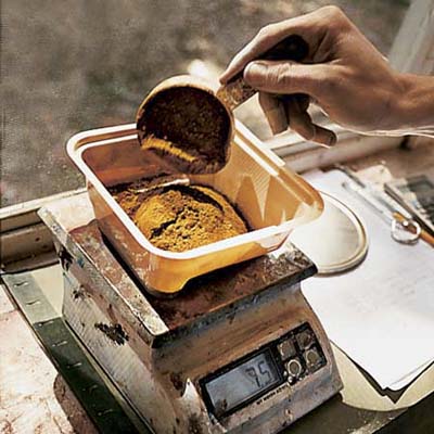 weighing color on the scale