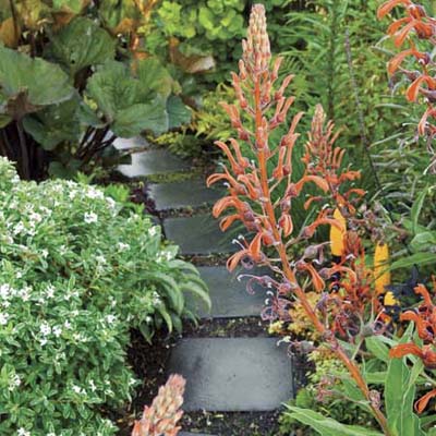 concrete paver stepping stones lined with brightly colored plants