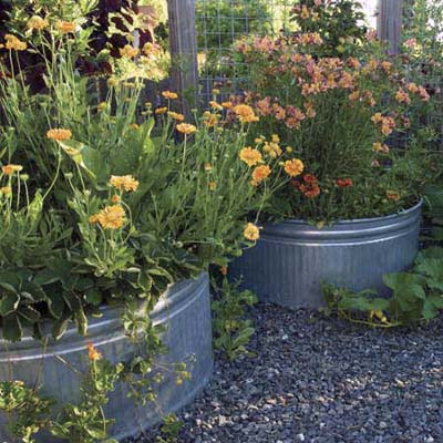 large galvanized feed troughs serve as permanent planters in a raised garden