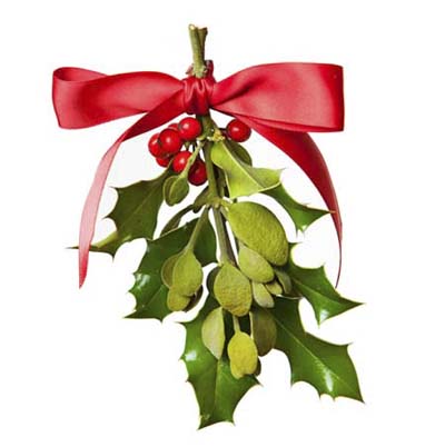 closeup of a mistletoe sprig  decorated for christmas
