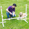 mark powers assembling jump bars in yard with dog lying next to him