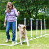 woman running dog through weave bars in yard