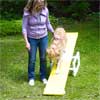 woman standing next to dog on teeter-totter