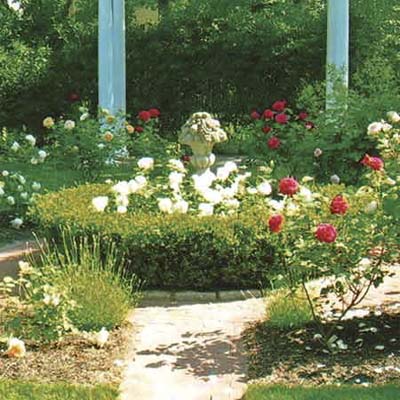 Garden with urn center