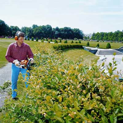 man trimming shrubbery with a Stihl power tool