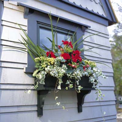 flower box in full bloom installed outside a window