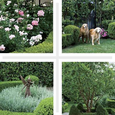 create living architecture in your yard