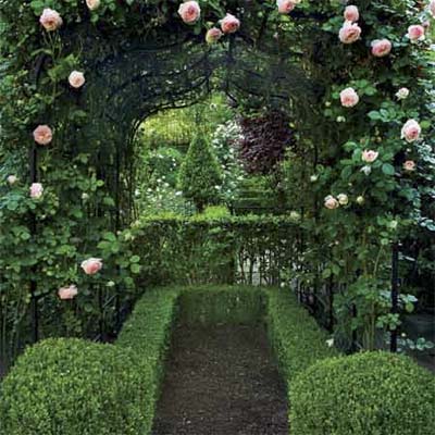 soft pink roses climb an arbor with boxwood shrubs and a pea gravel pad beneath