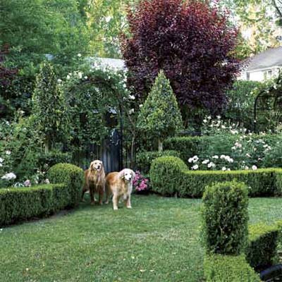 an area with low borders keeps two dogs contained in an area of a garden
