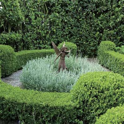 a copper angle statue/birdbath surrounded by sheared boxwoods and a circle of lavender plants