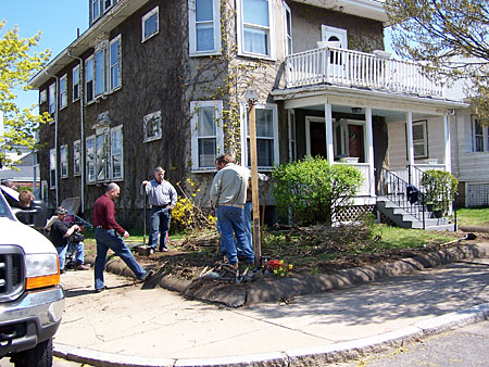 hedge removal at the East Boston House