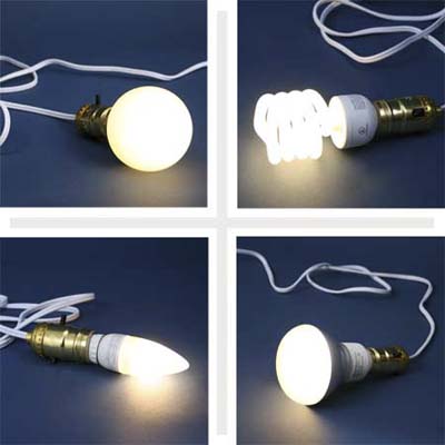 selection of compact fluorescent light bulbs in various sizes and shapes