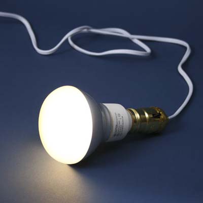 compact fluorescent lightbulbs for an exterior floodlight