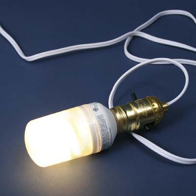 compact fluorescent light bulbs for outside use